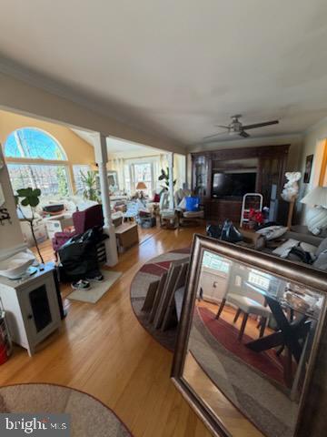 GLASSMANOR - Residential