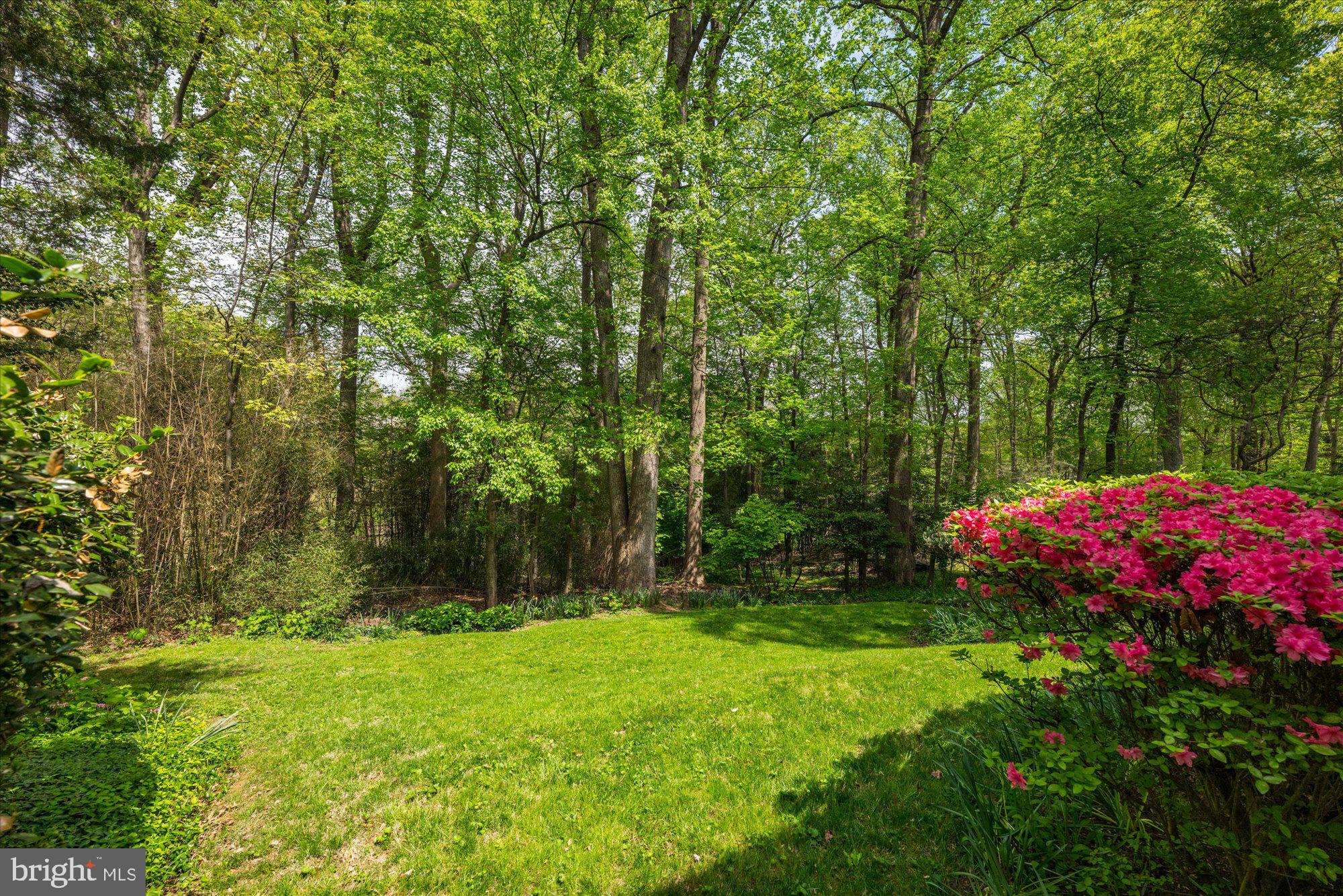 CONGRESSIONAL MANOR - Residential