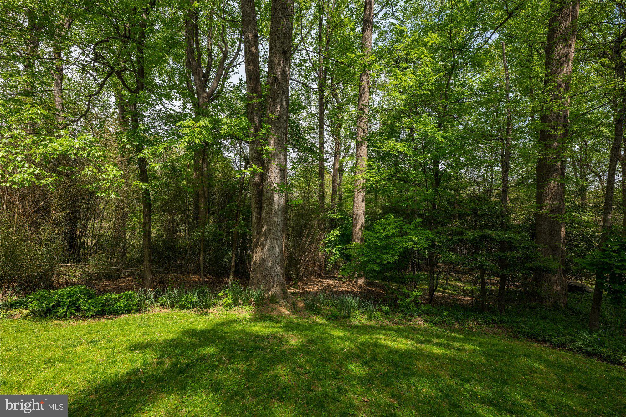 CONGRESSIONAL MANOR - Residential