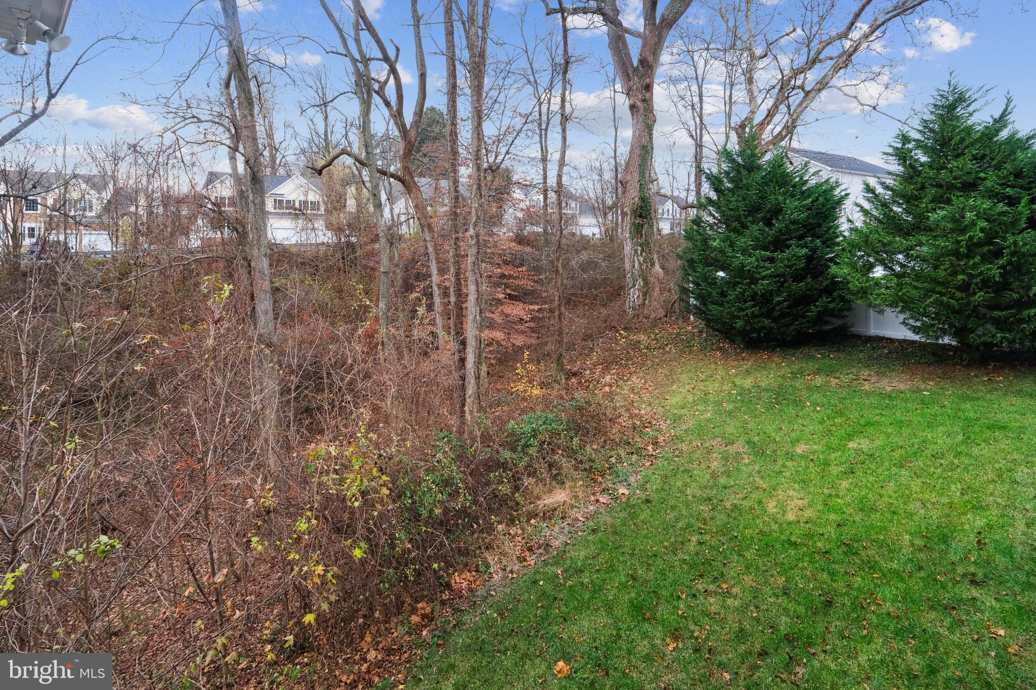 CHESAPEAKE VILLAGE - Residential