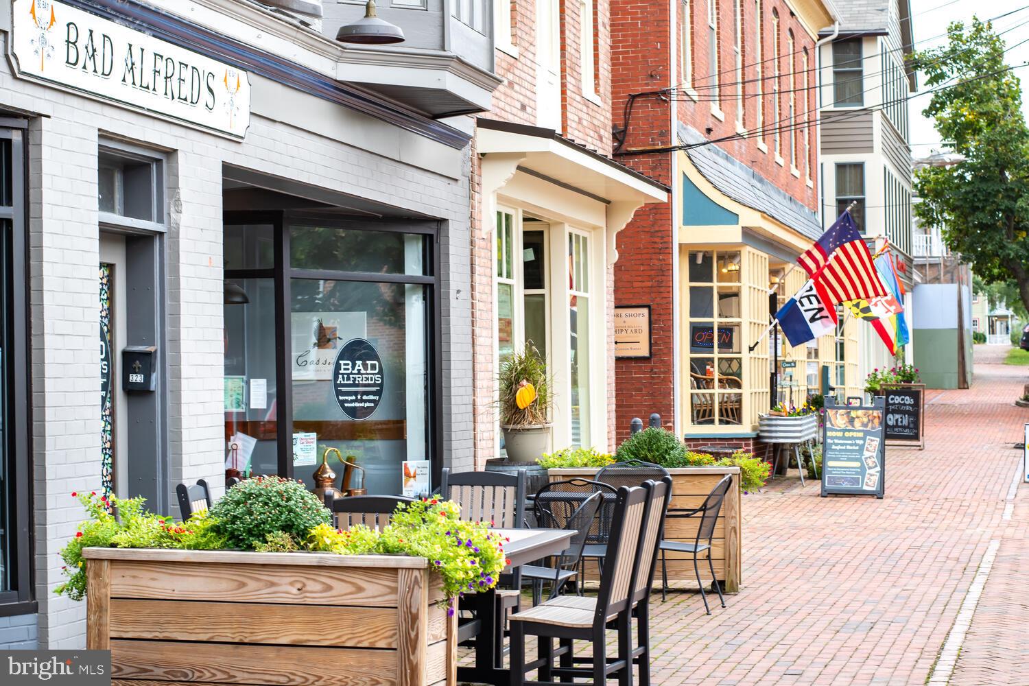 HISTORIC CHESTERTOWN - Residential