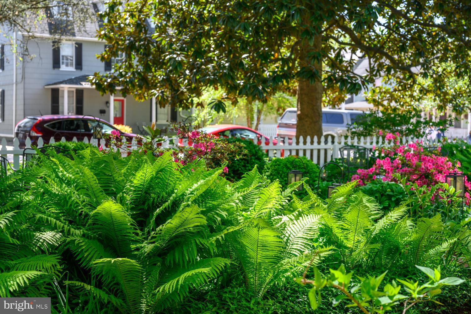 HISTORIC CHESTERTOWN - Residential