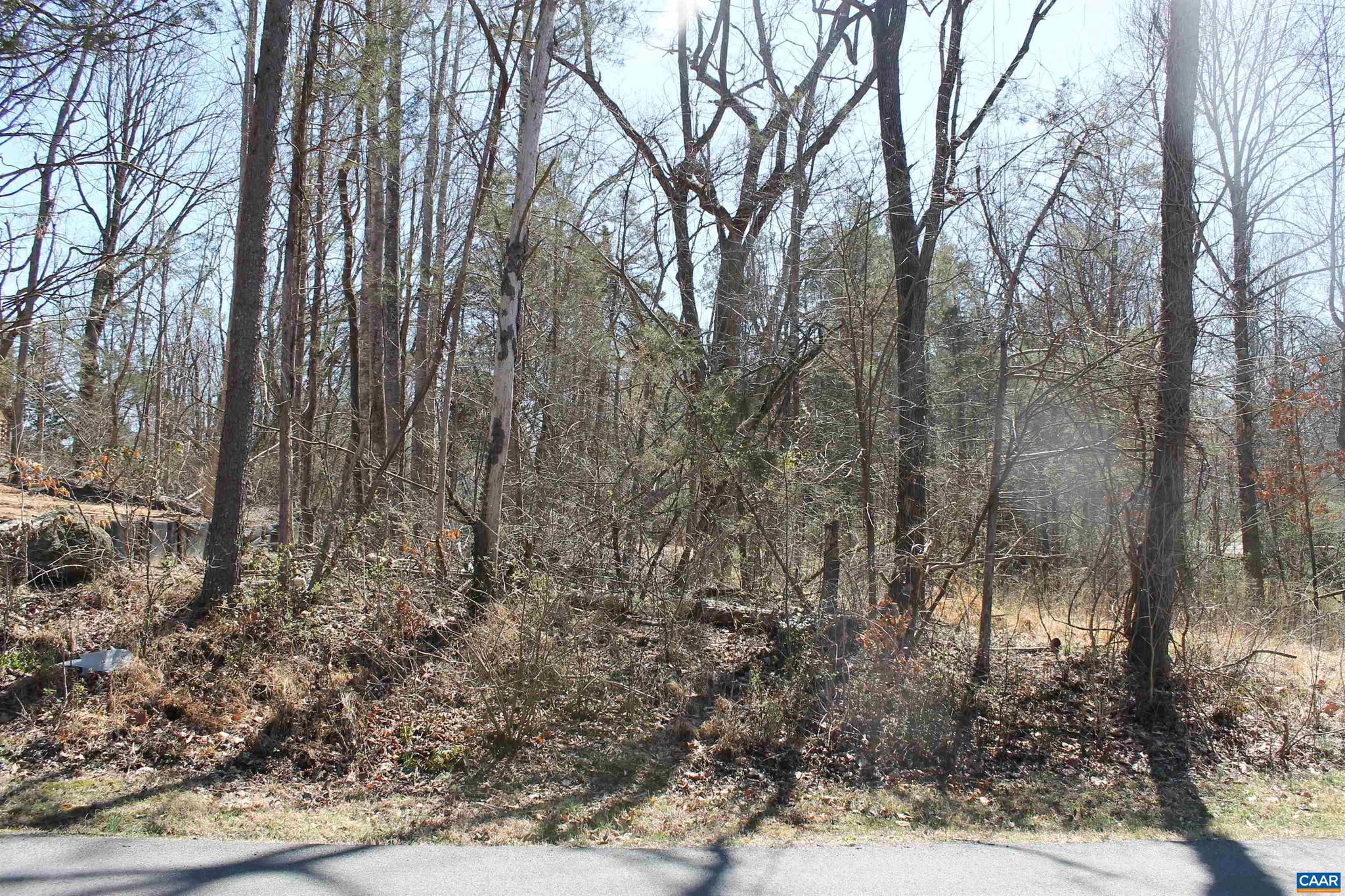 BLUE RIDGE SHORES - Land