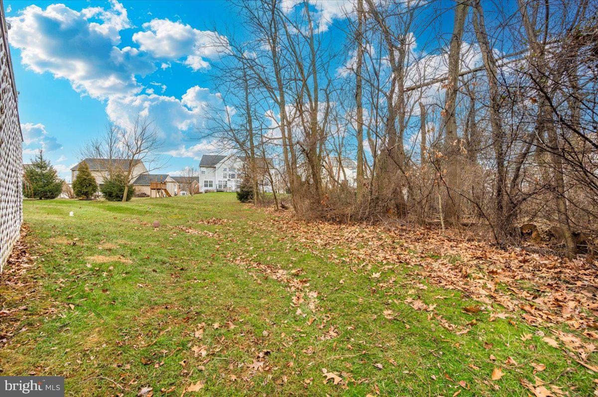 THE HOMES AT STRAWBRIDGE MEADOWS - Residential