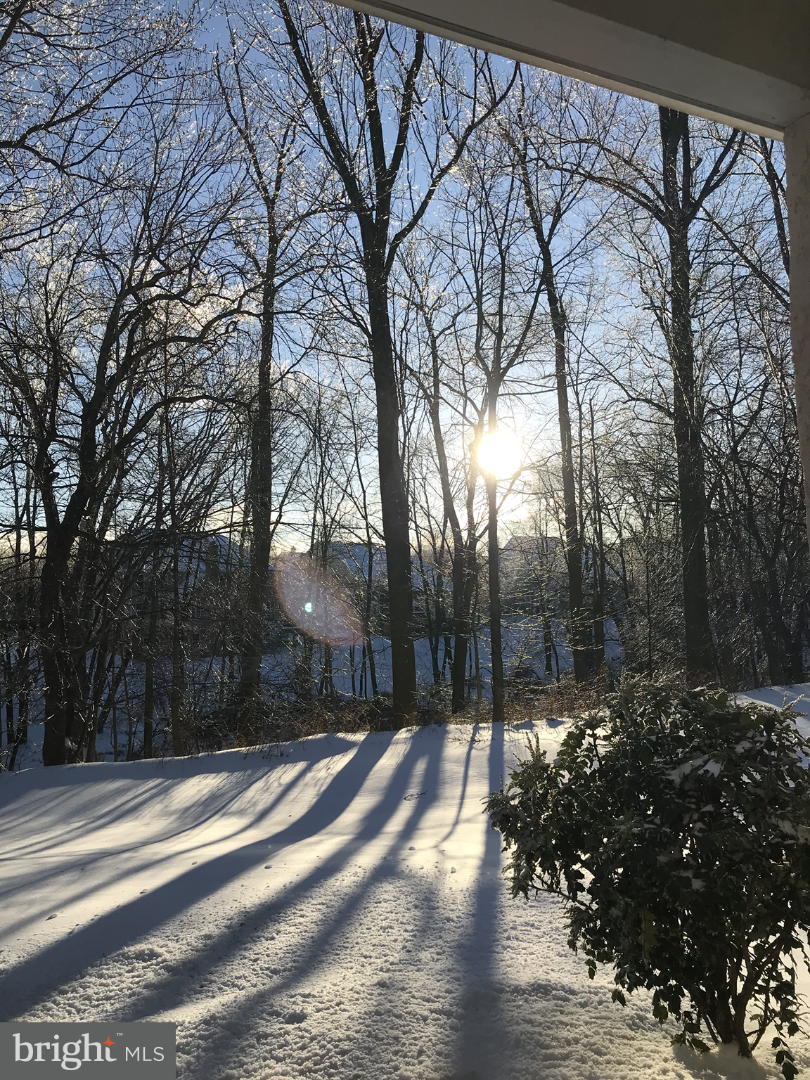 CHERRY CREEK - Residential