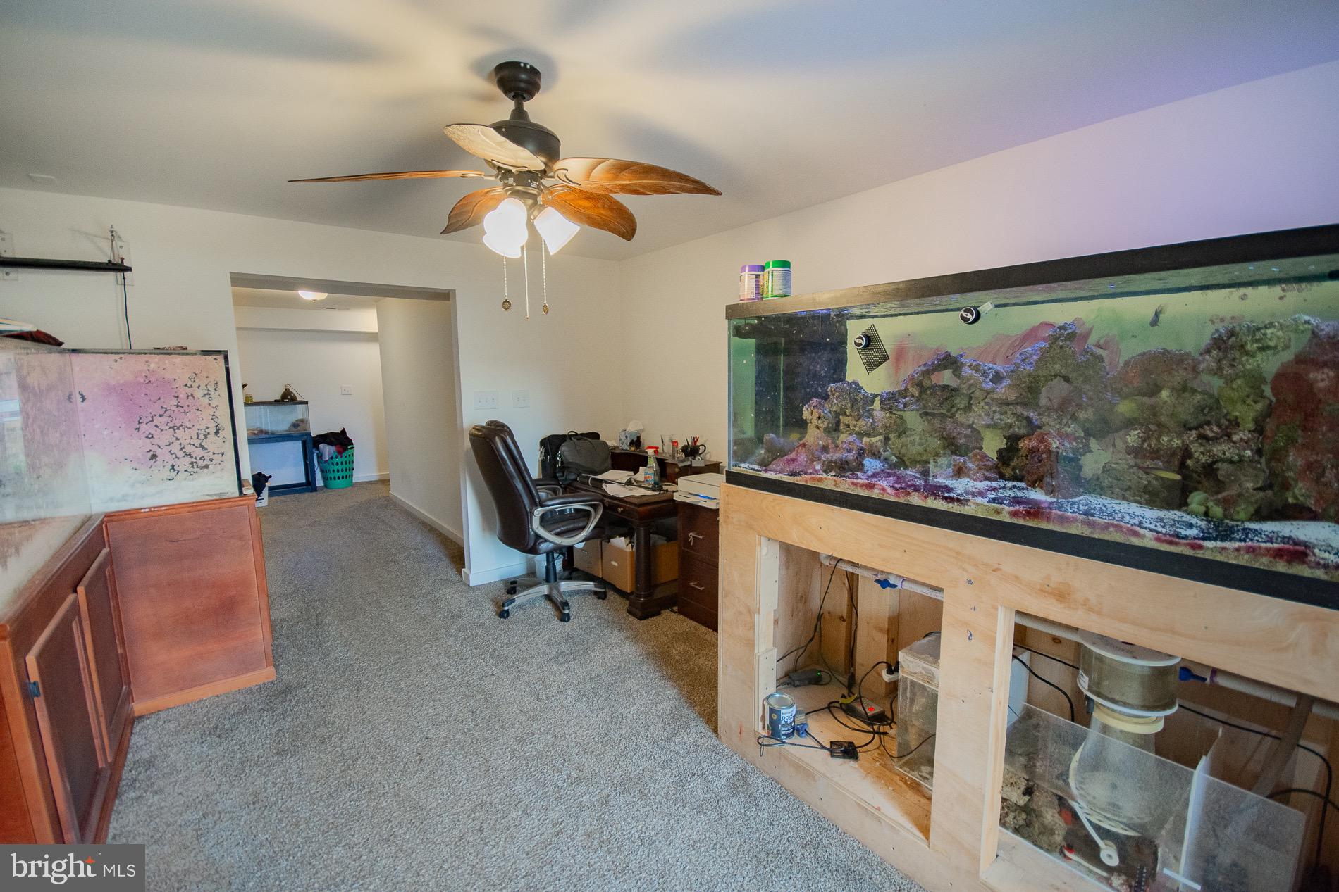 BRIDLE CREEK - Residential