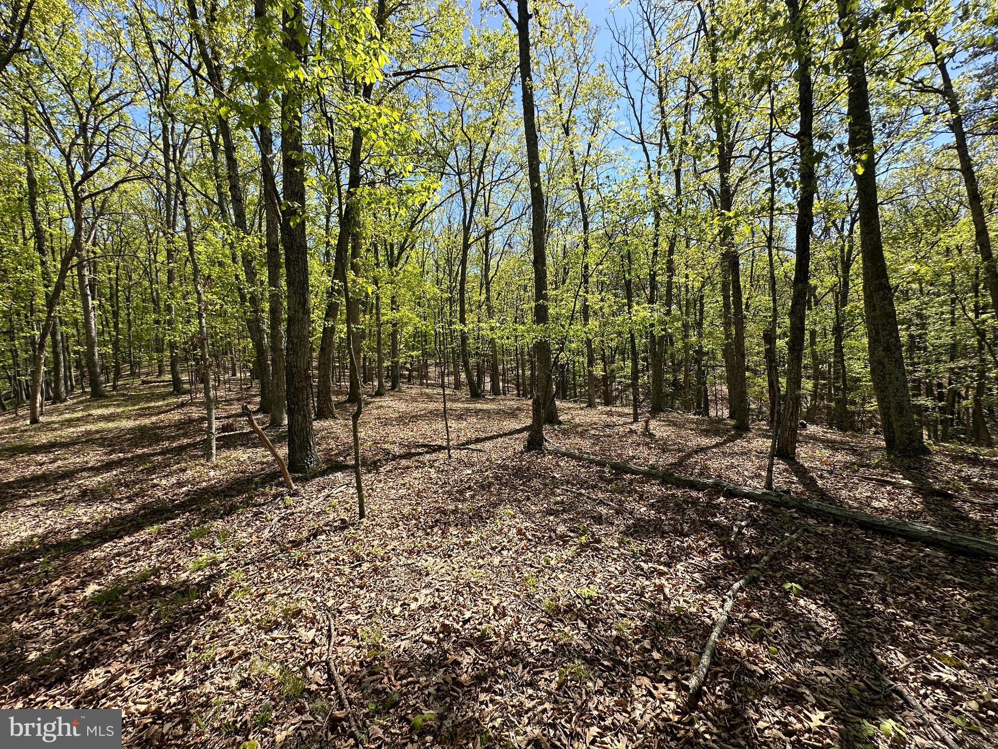 SHADOW KNOLLS - Land