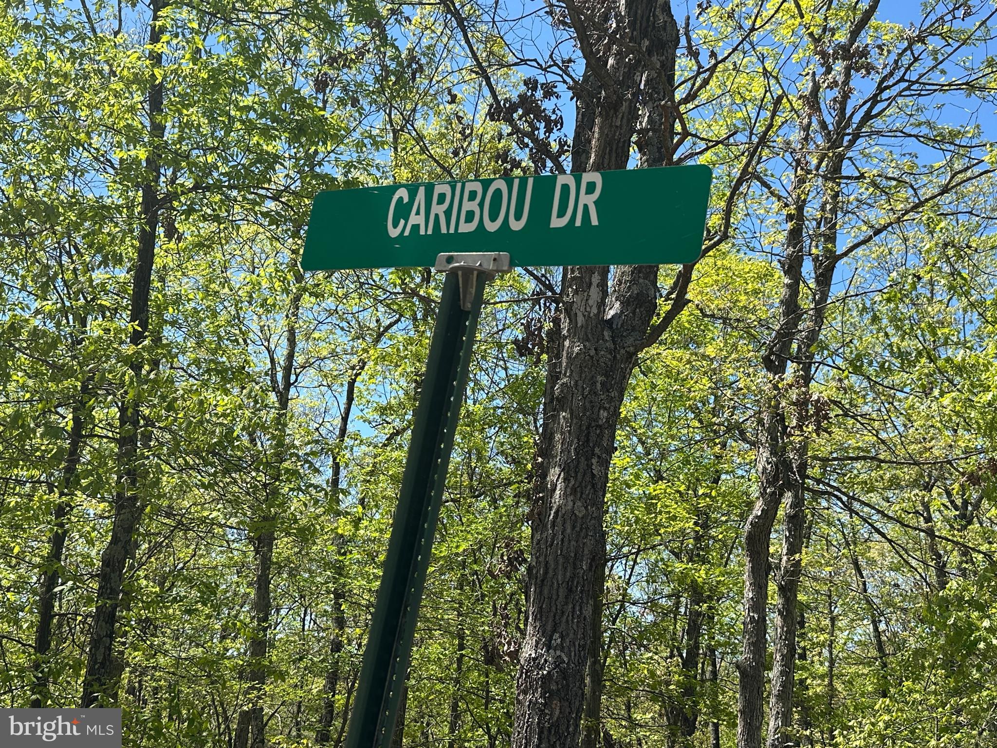 SHADOW KNOLLS - Land