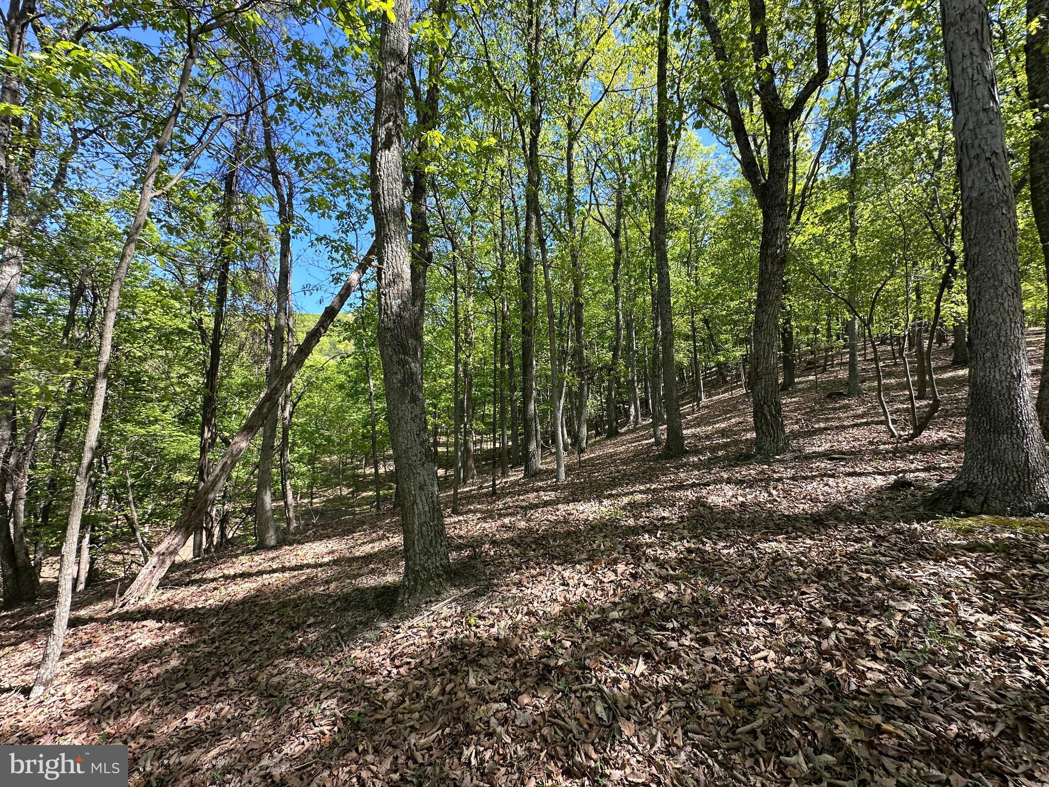 SHADOW KNOLLS - Land