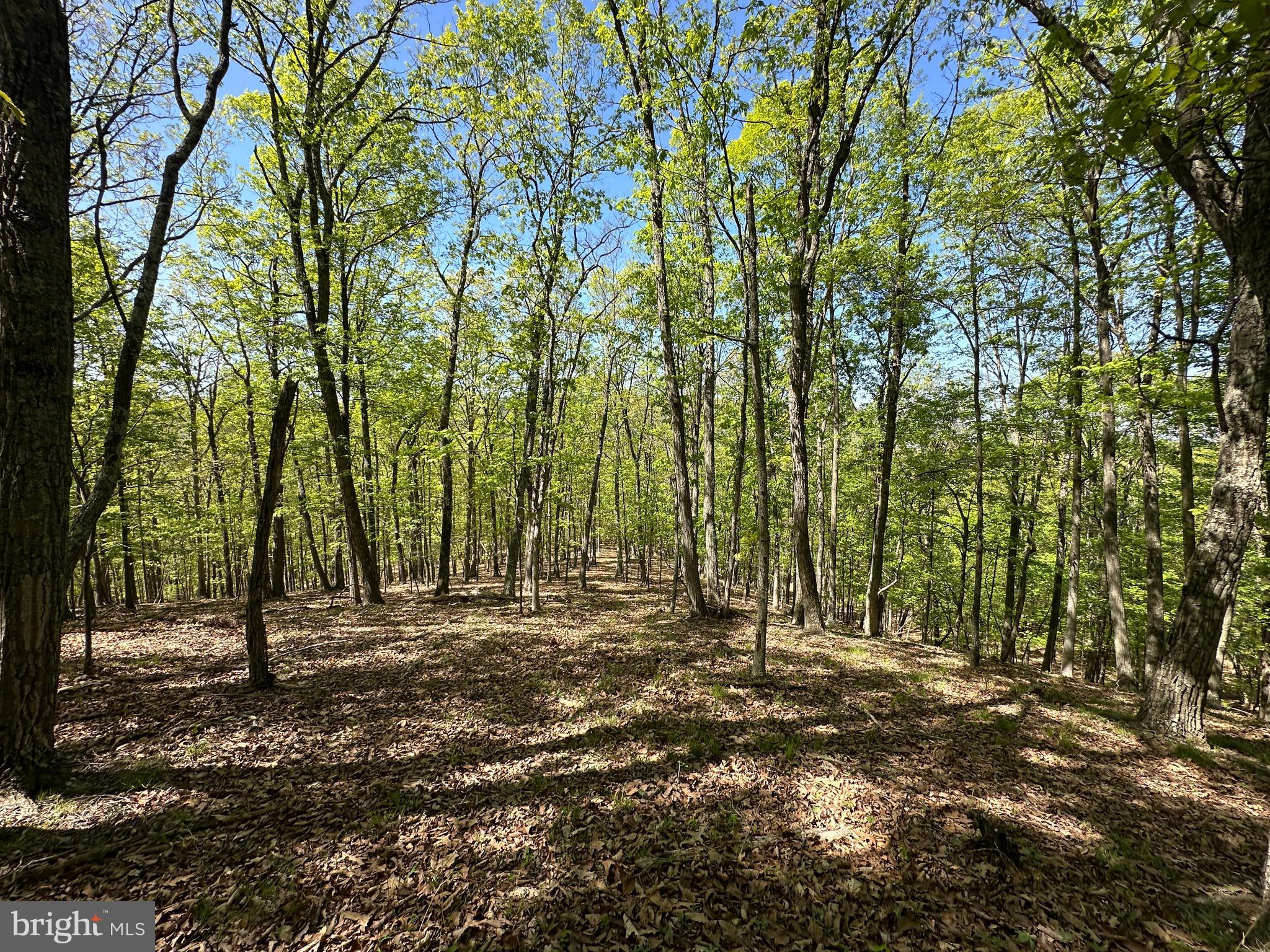 SHADOW KNOLLS - Land