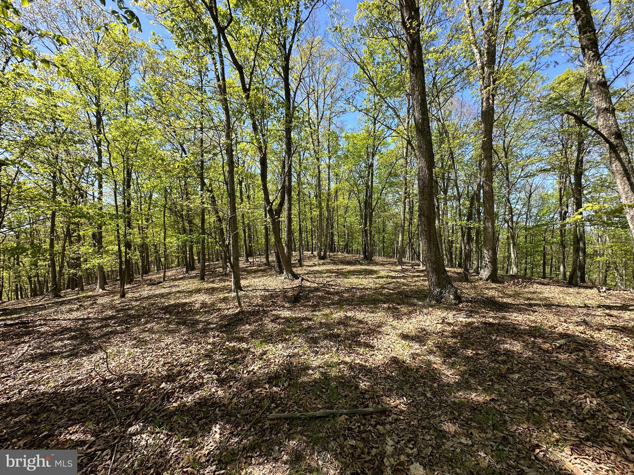 SHADOW KNOLLS - Land