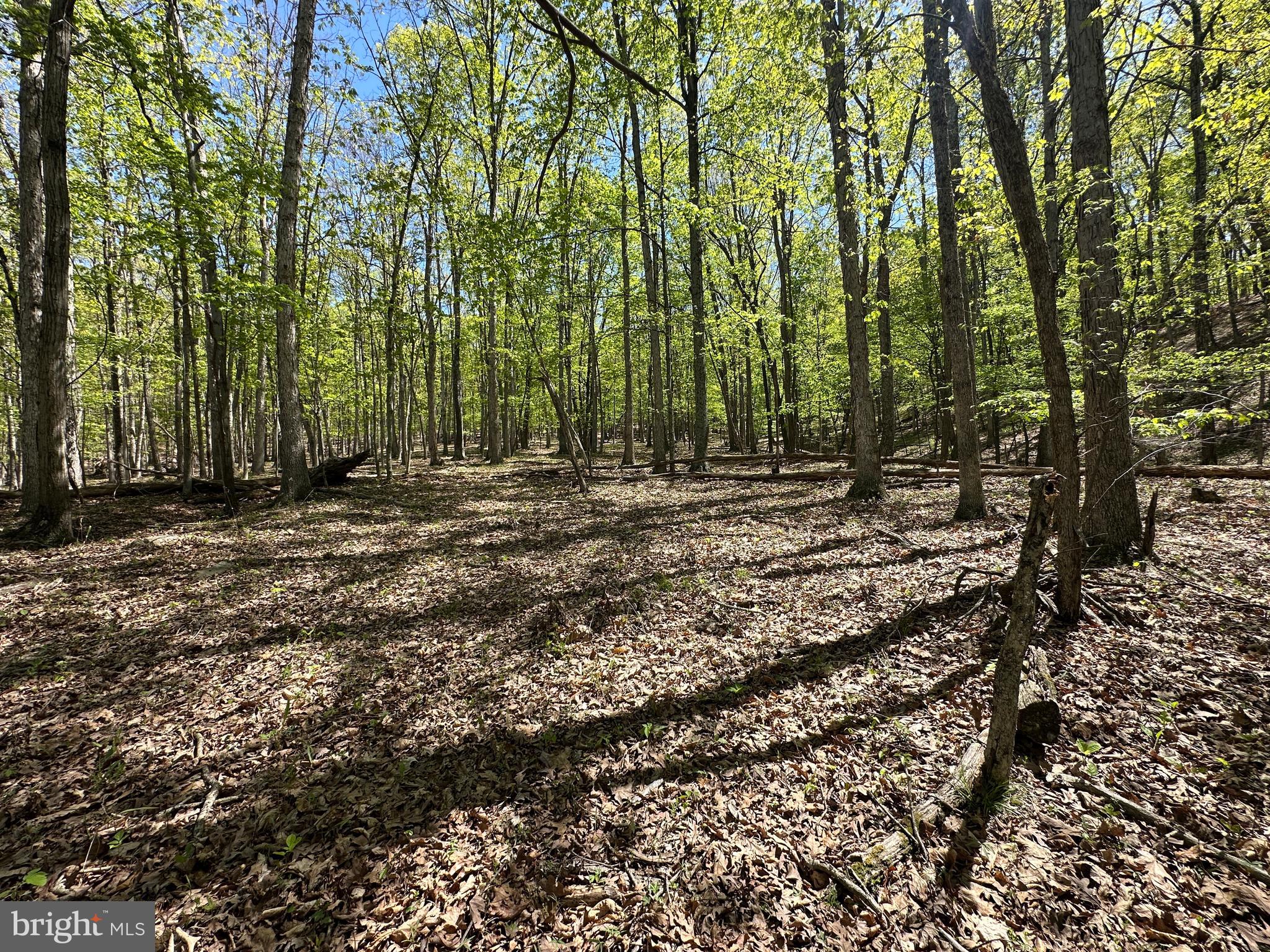 SHADOW KNOLLS - Land