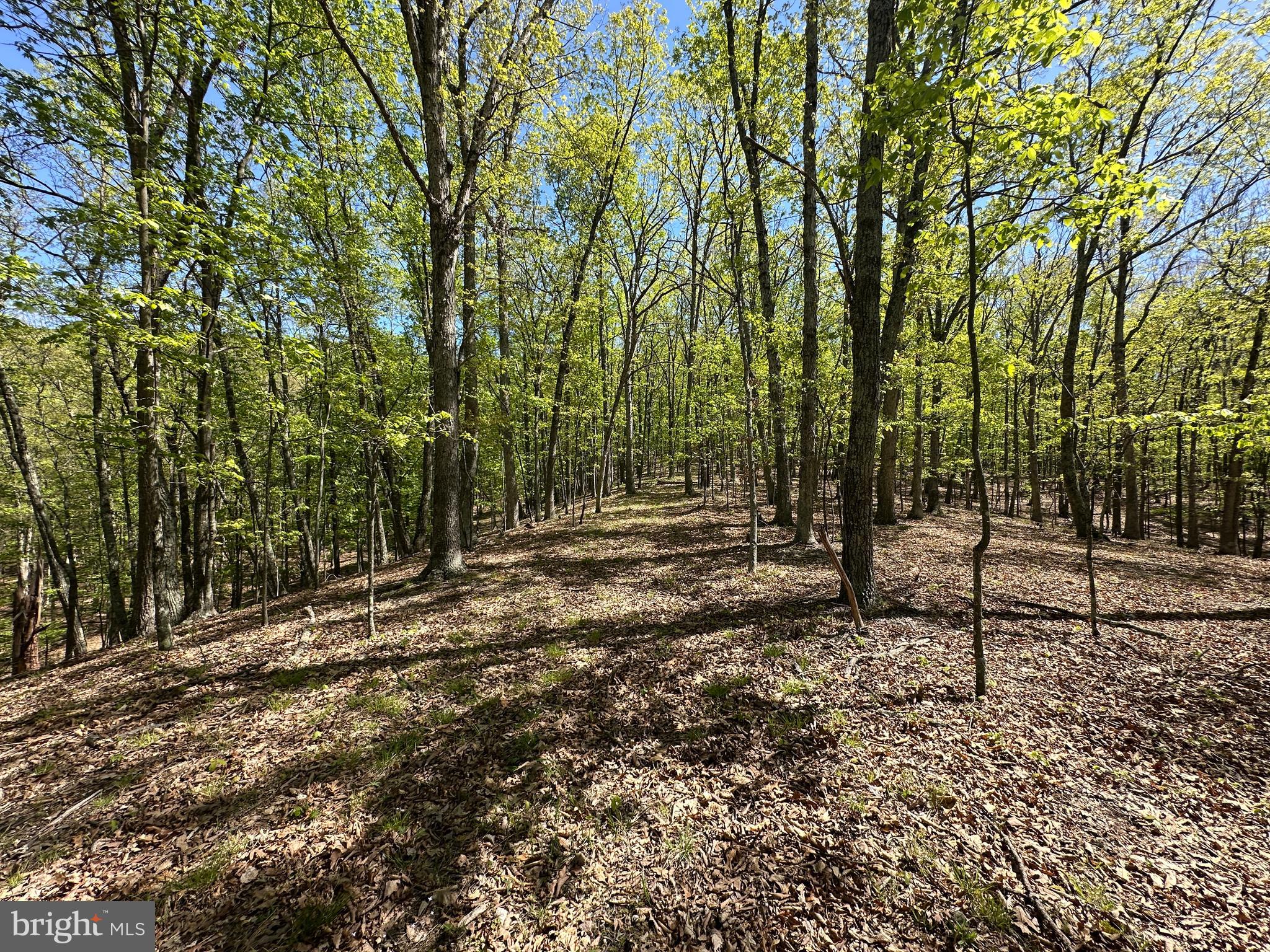 SHADOW KNOLLS - Land