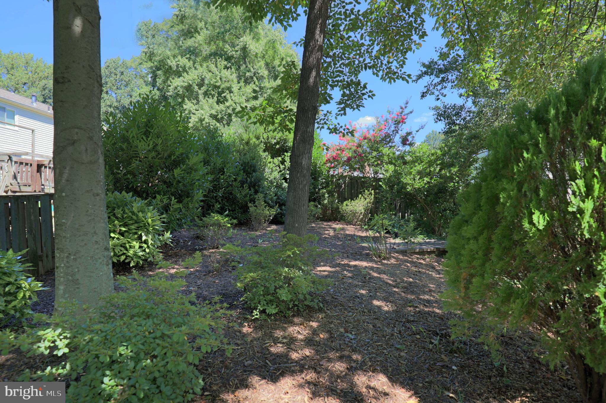 BURKE STATION SQUARE - Residential