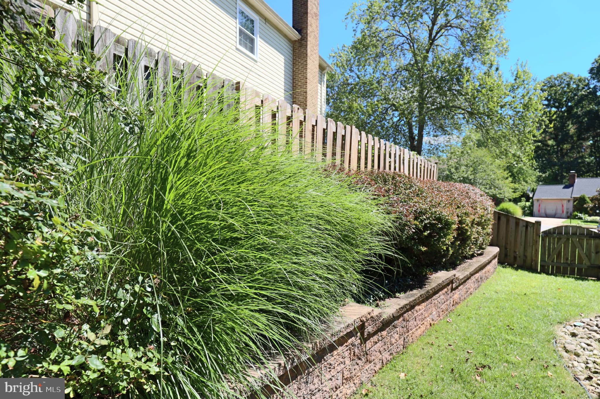 BURKE STATION SQUARE - Residential