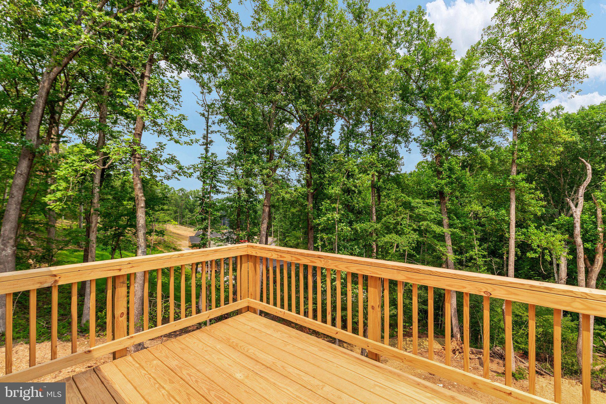 3608 HOWELLSVILLE RD LOT 236
