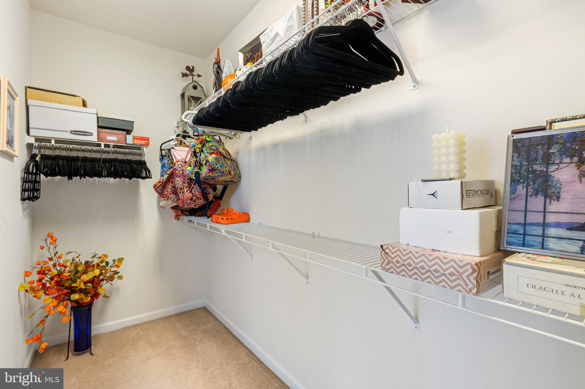 CARROLL VISTA - Residential