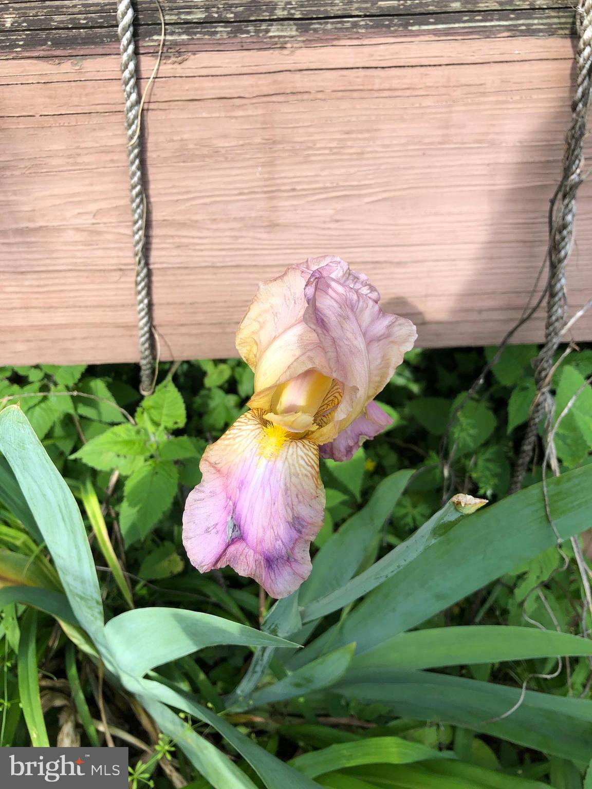 DOWNTOWN FREDERICKSBURG - Residential