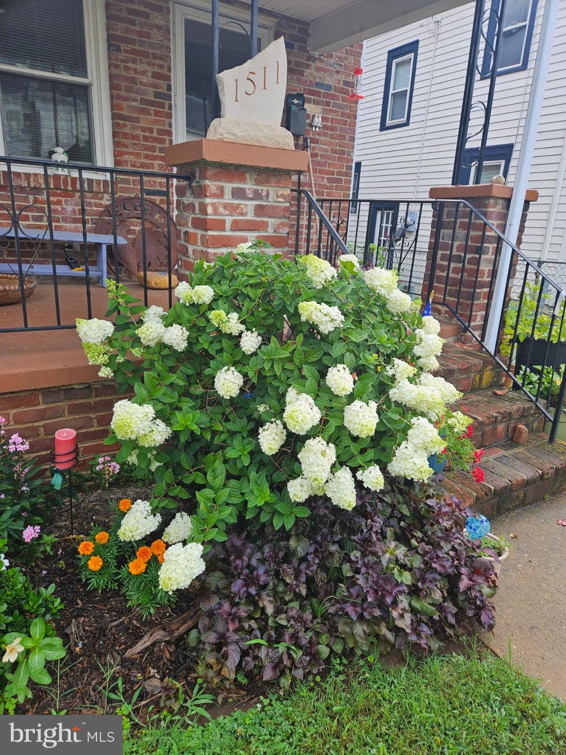 DOWNTOWN FREDERICKSBURG - Residential