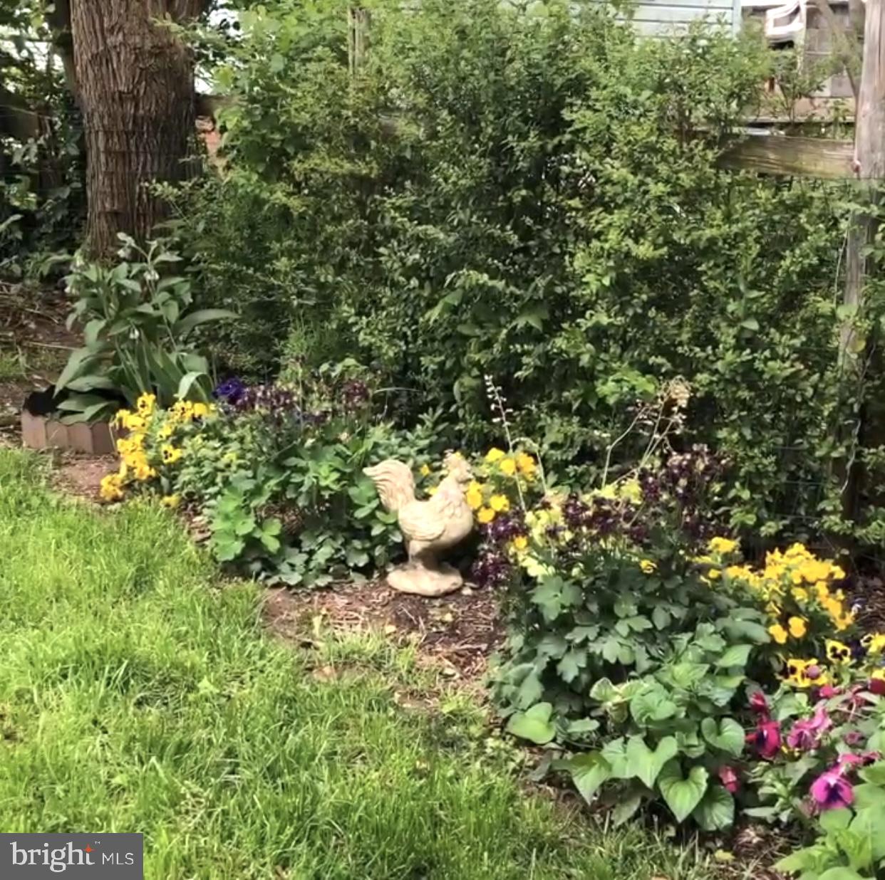 DOWNTOWN FREDERICKSBURG - Residential