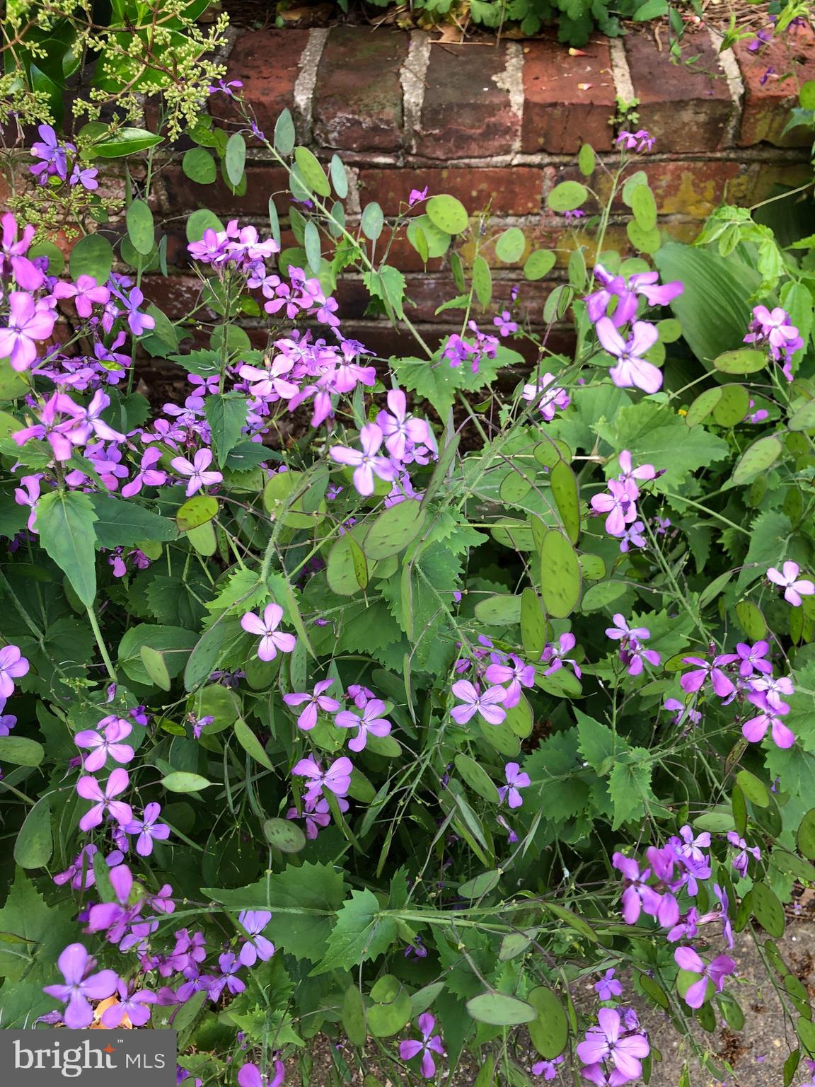 DOWNTOWN FREDERICKSBURG - Residential