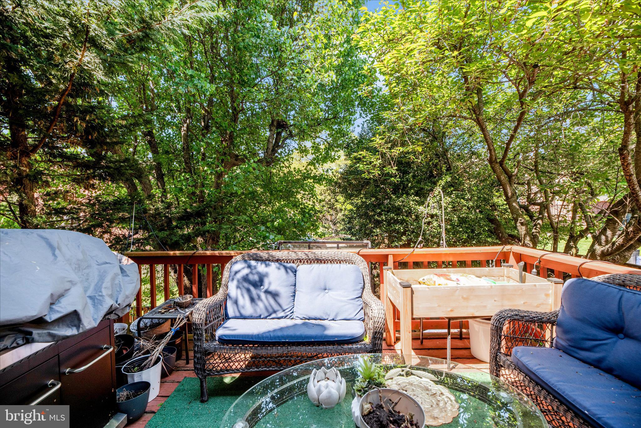 CHAPEL HILL - Residential