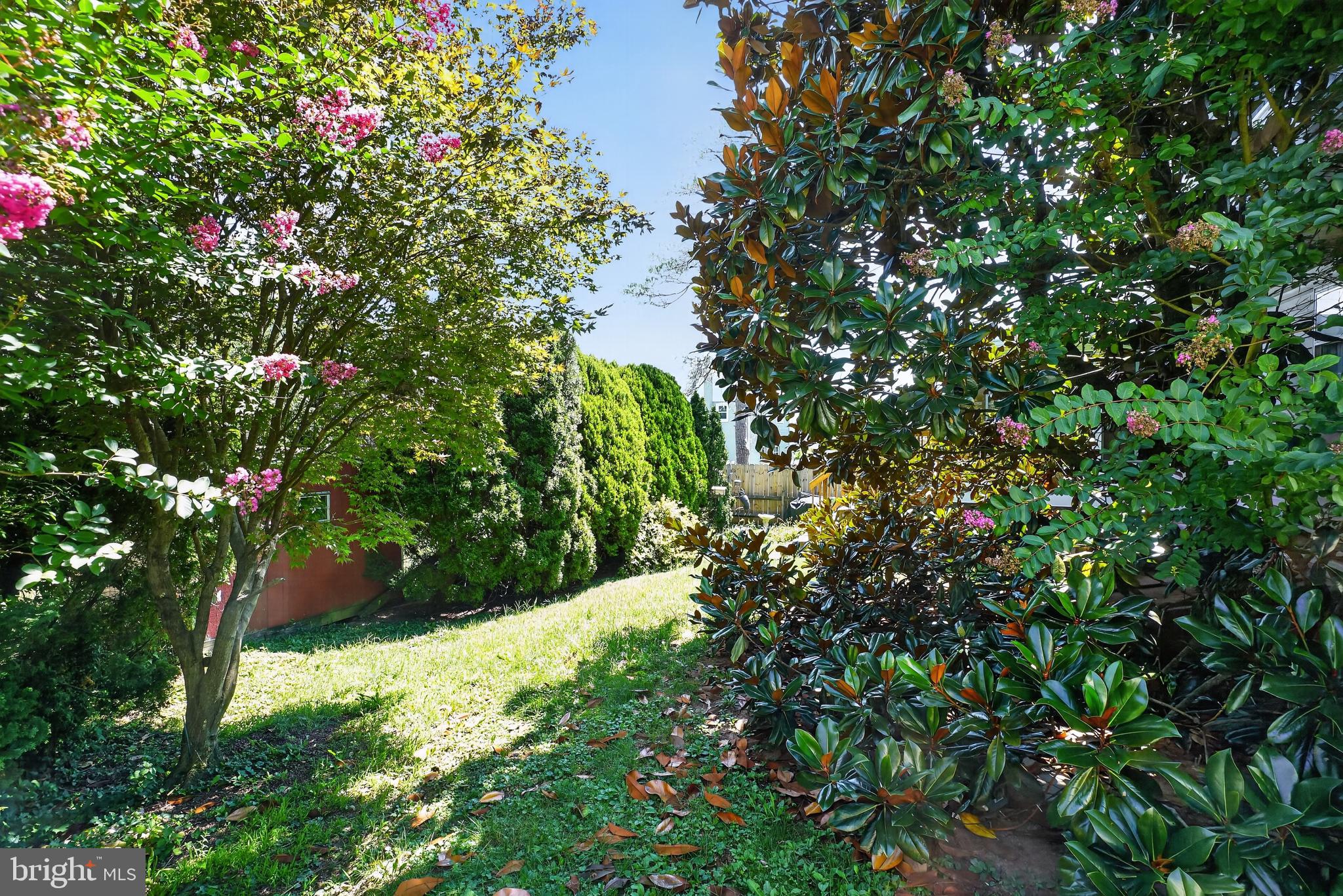 44 ALDINE AVENUE