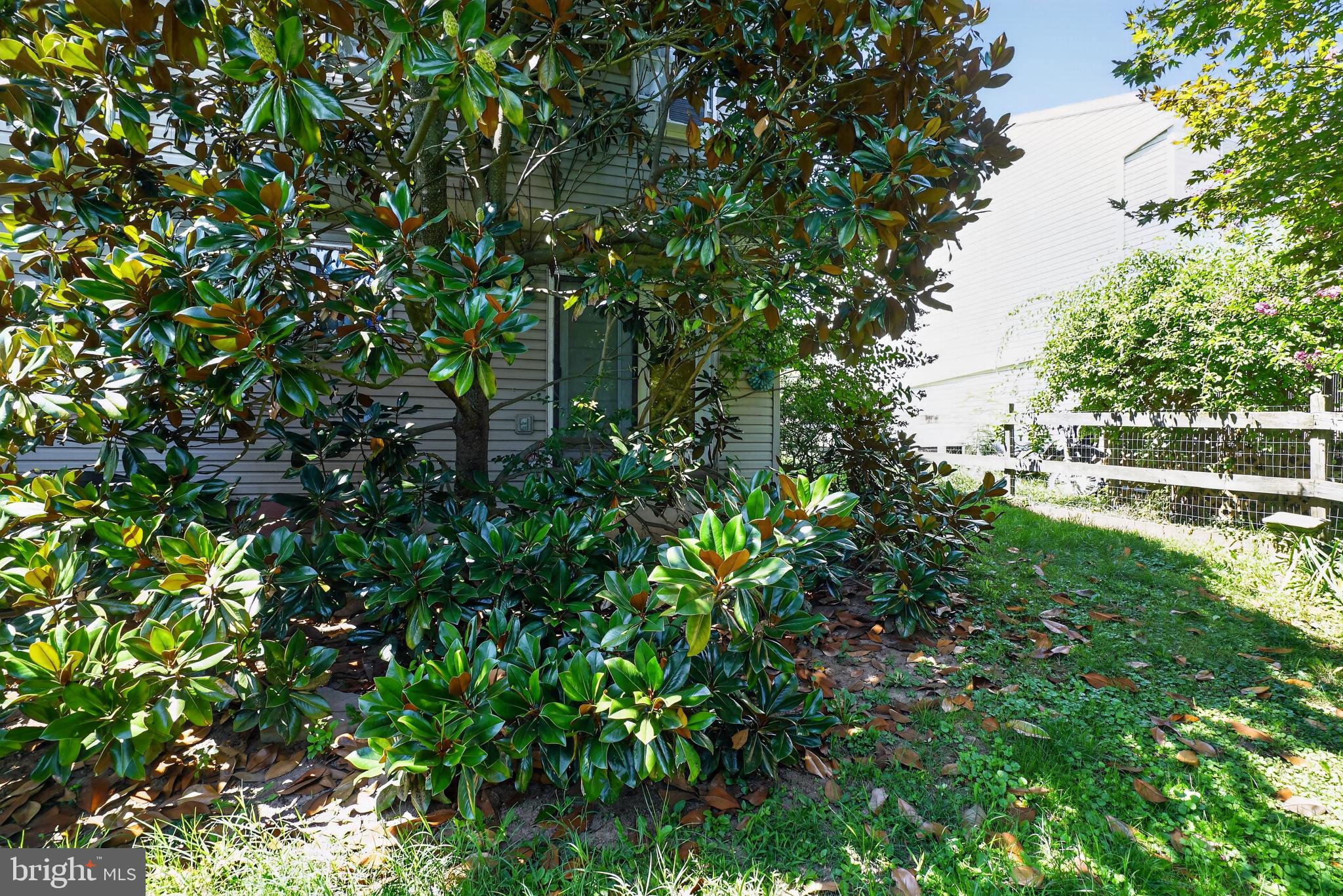 44 ALDINE AVENUE