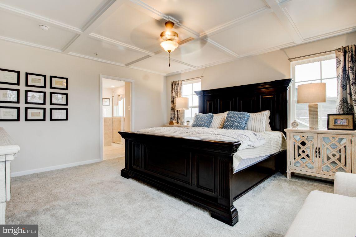 ROBINSONS PARADISE - Residential