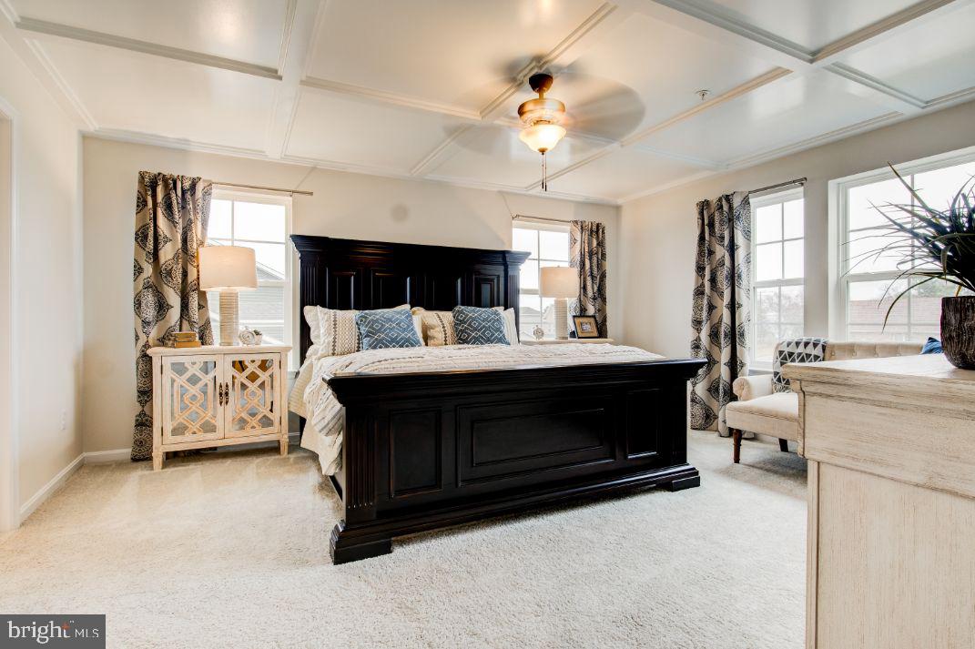 ROBINSONS PARADISE - Residential