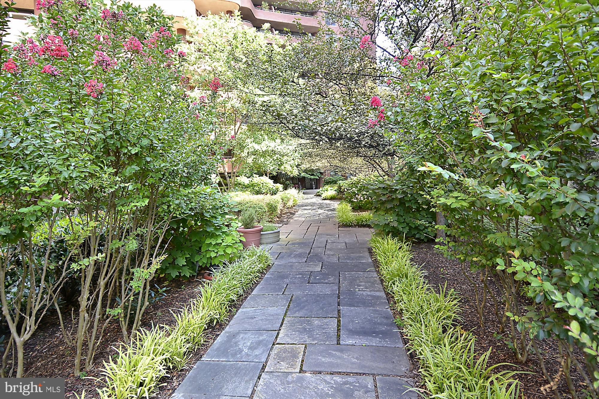 FRIENDSHIP HEIGHTS - Residential