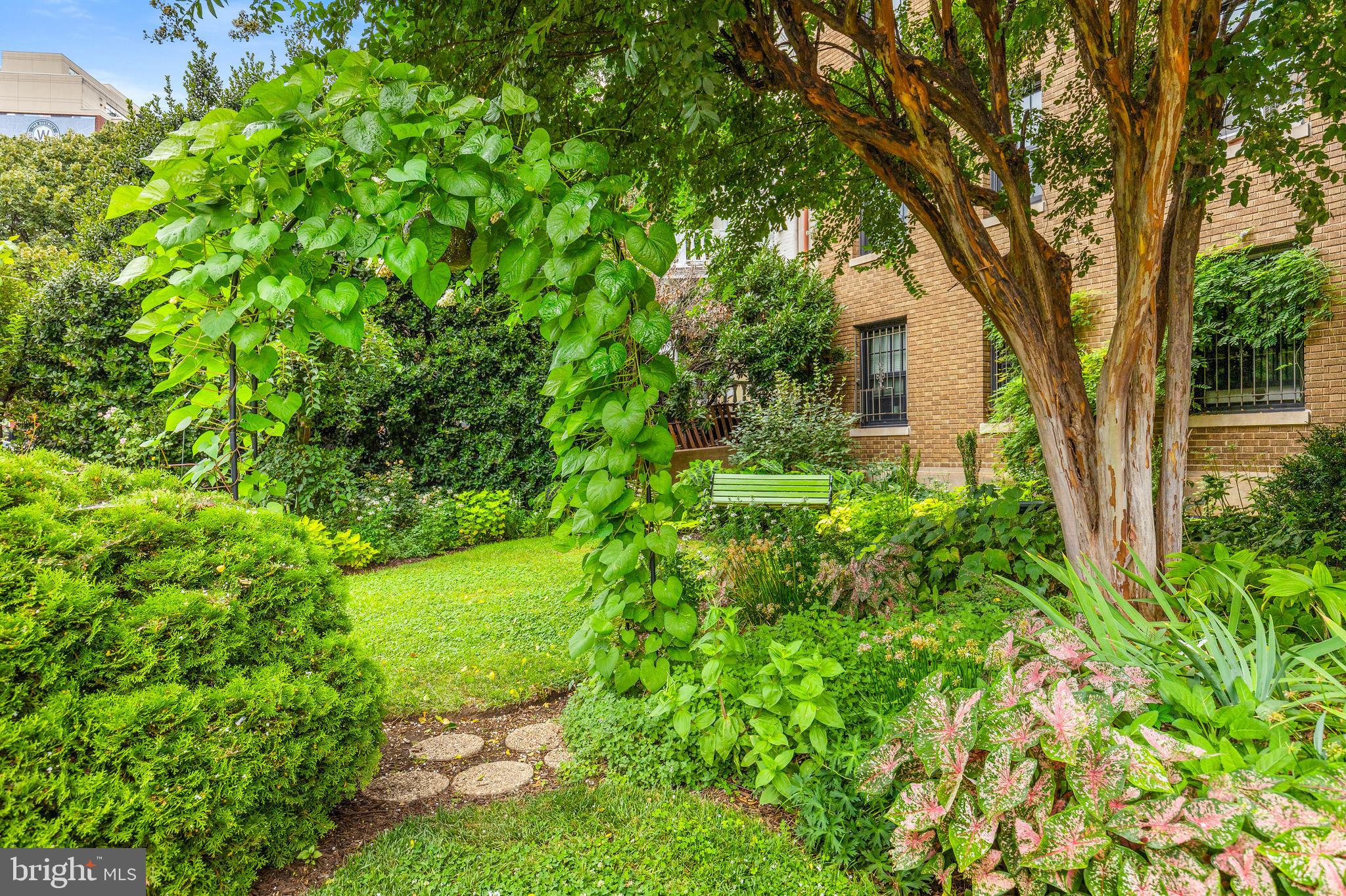 1101 L STREET NW 102