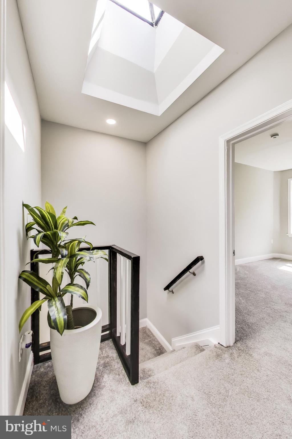 LUCILLE PARK - Residential