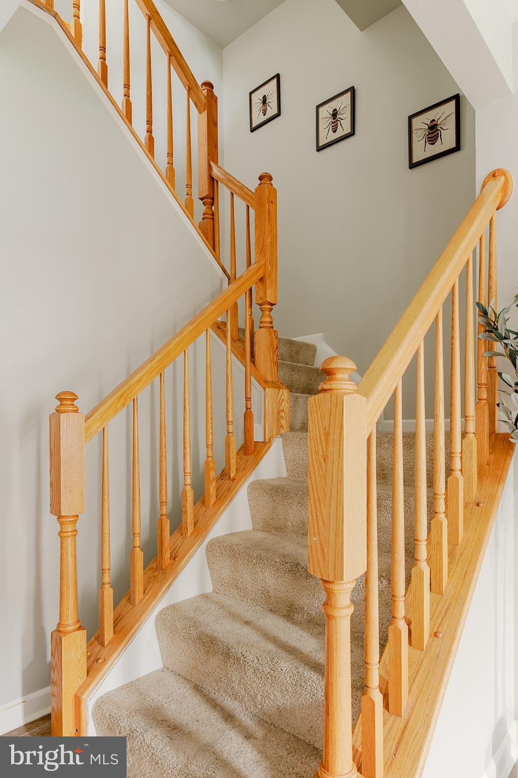 CHAMBERS HILL - Residential