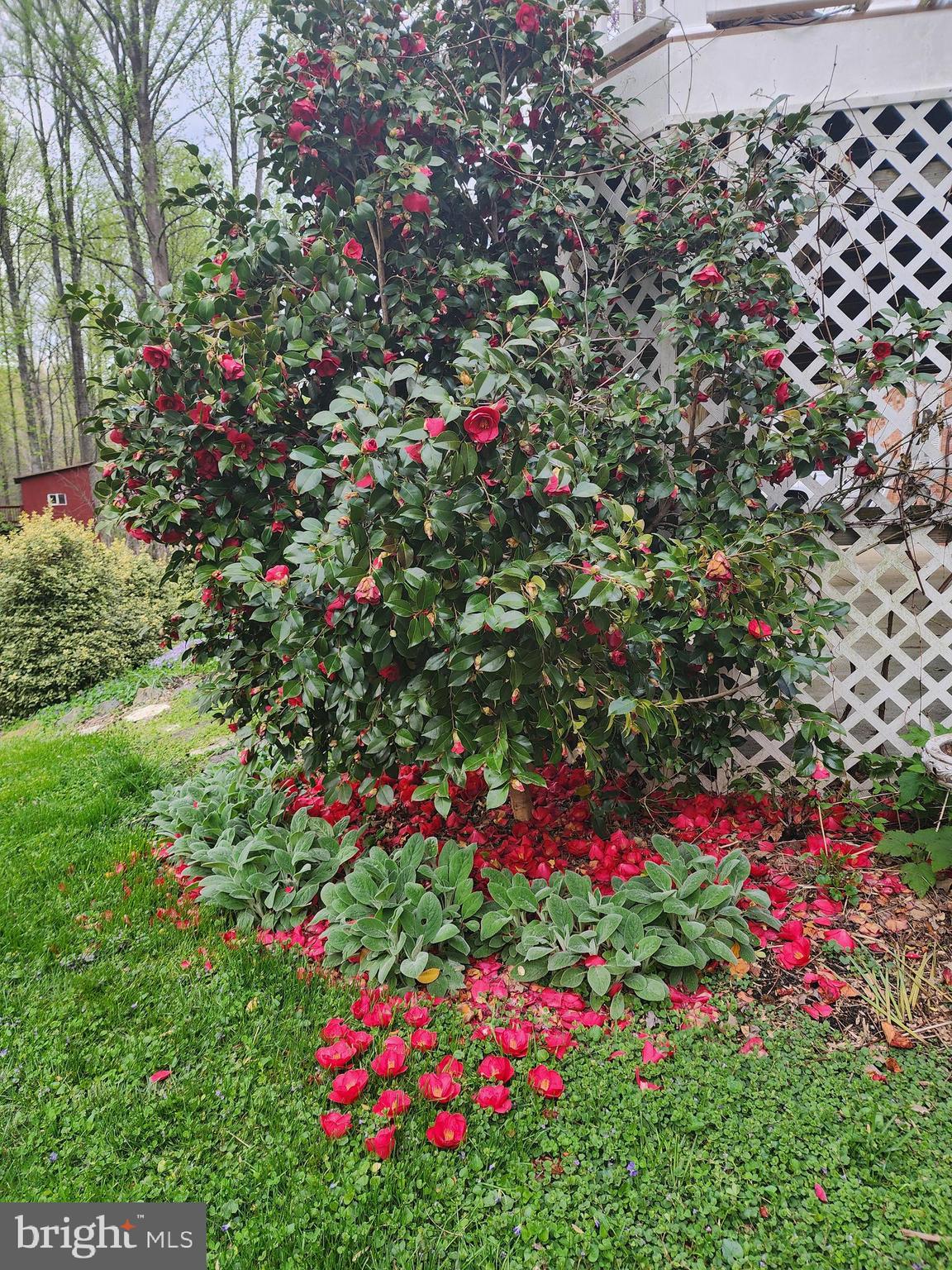 CRYSTAL SPRINGS - Residential