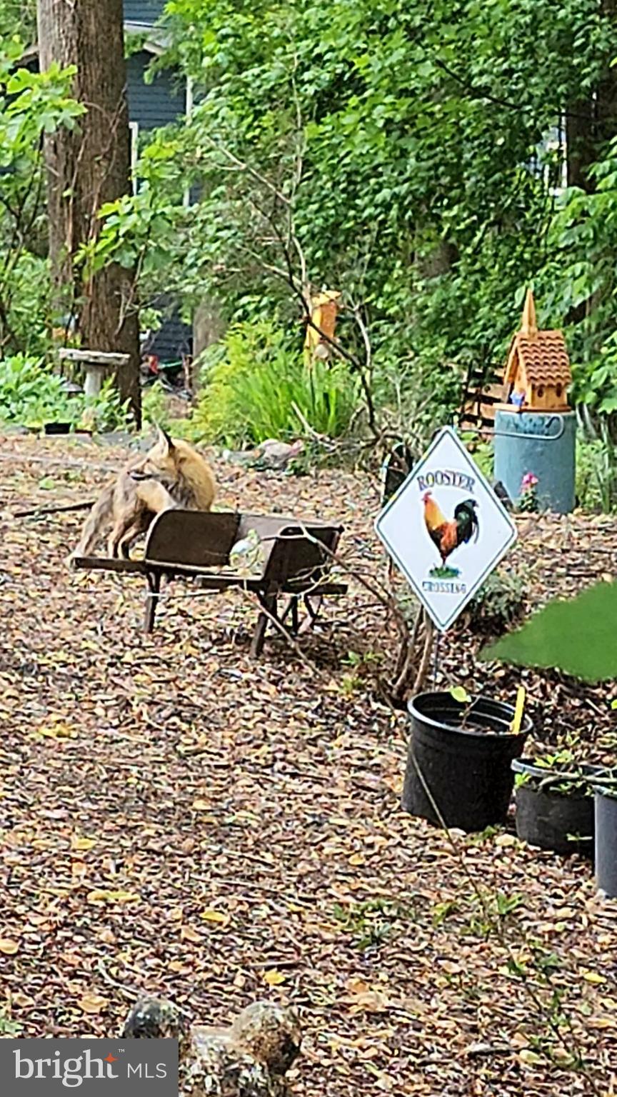 CRYSTAL SPRINGS - Residential