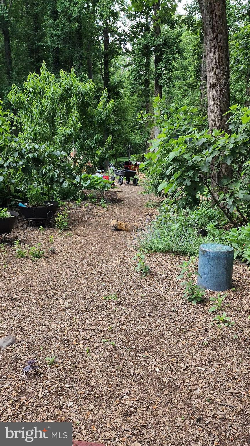 CRYSTAL SPRINGS - Residential