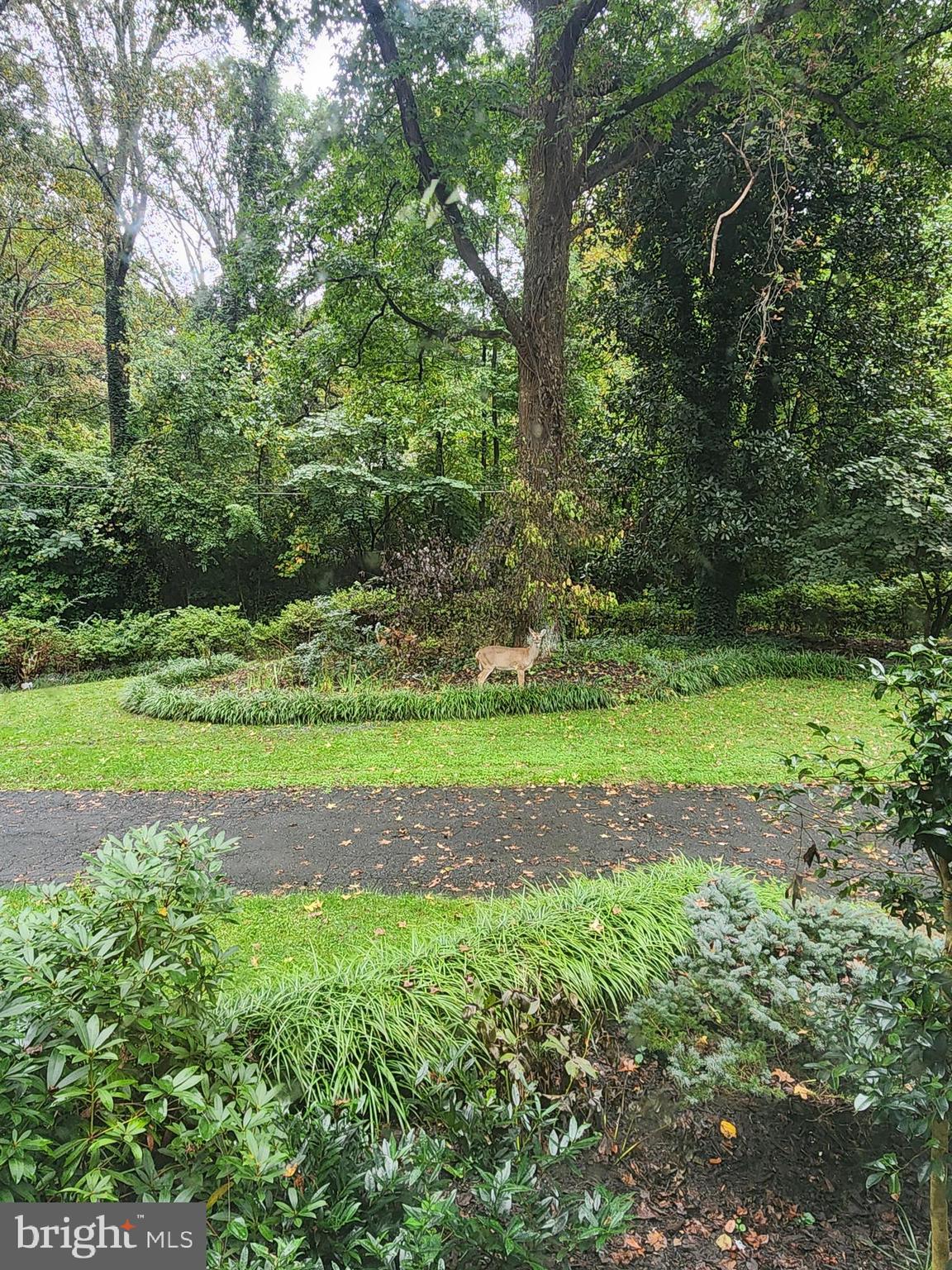 CRYSTAL SPRINGS - Residential