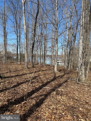 75 NEW DAWN CT, BUMPASS, VA 23024 - Image 2f8b0f2e7ee8be1431a672899d80dab3/3677488081