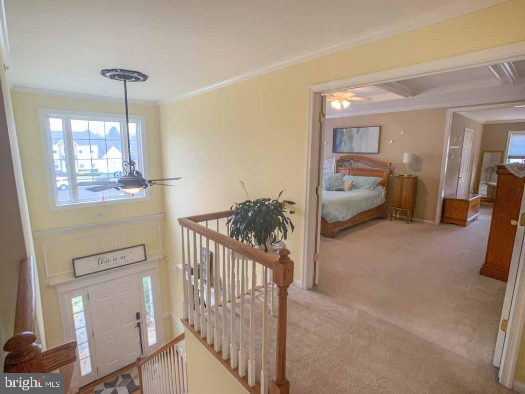 GREYSTONE MEADOW - Residential