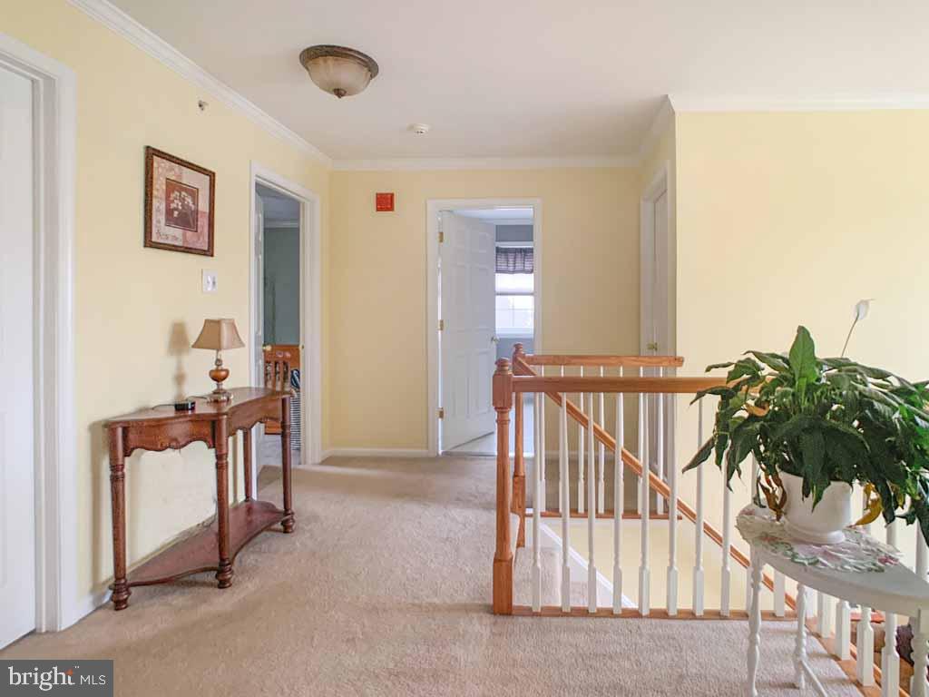 GREYSTONE MEADOW - Residential