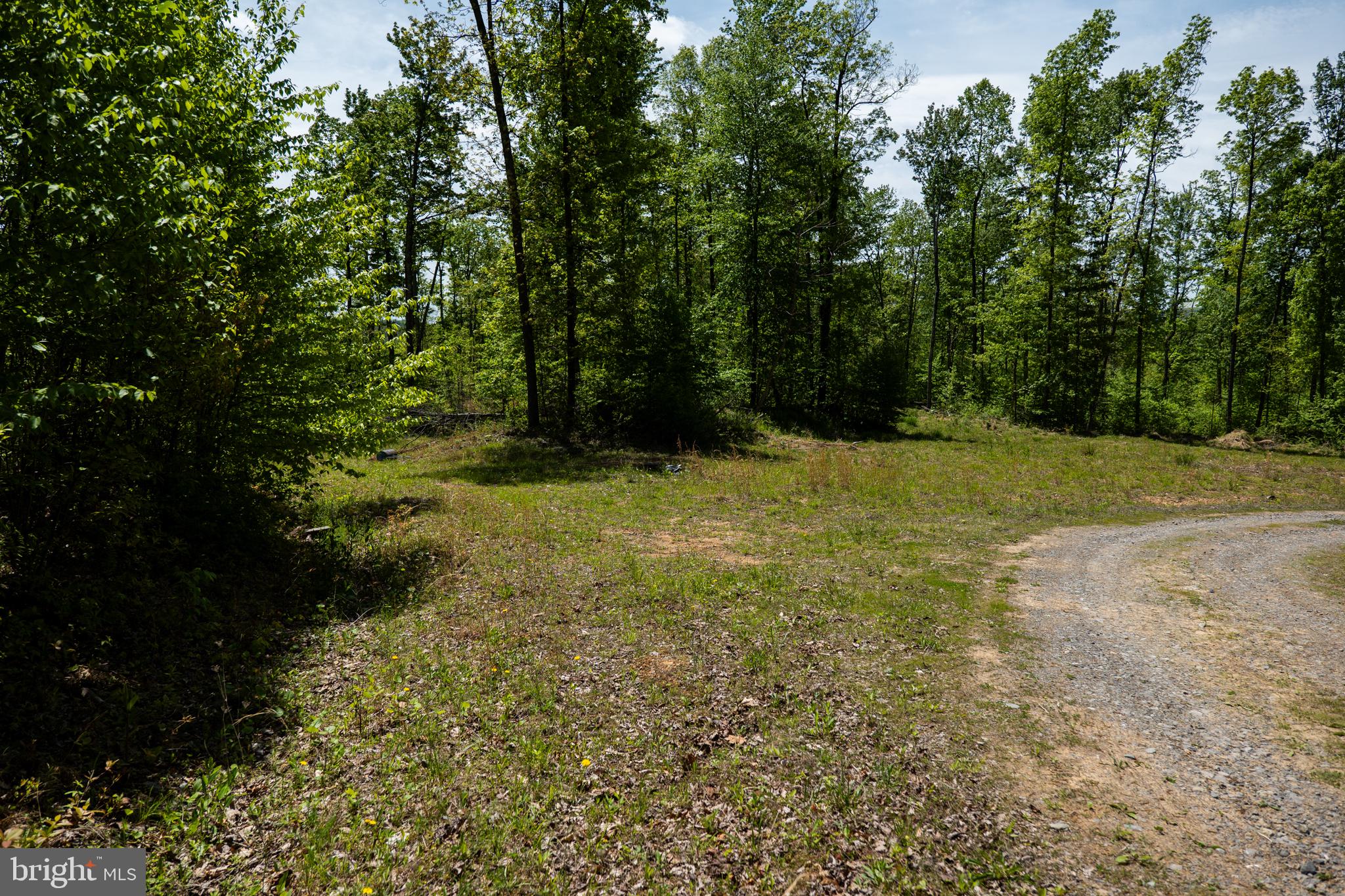Lot 1 LAUREL MOUNTAIN ROAD