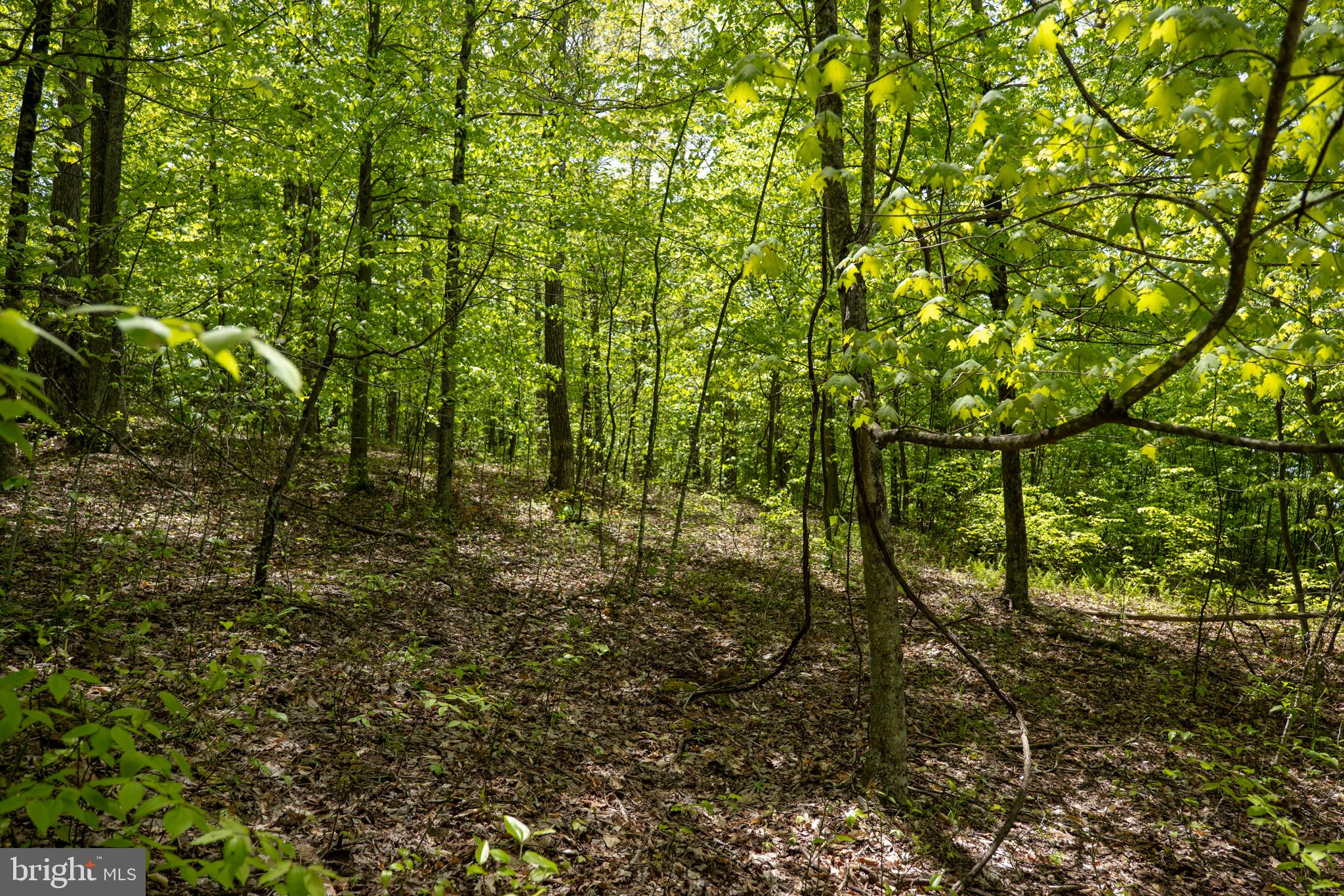 Lot 1 LAUREL MOUNTAIN ROAD