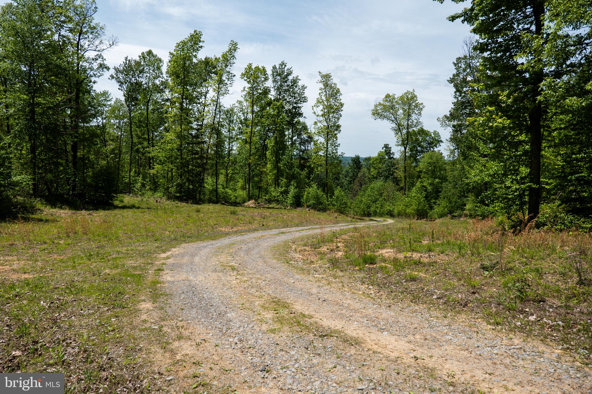 Lot 1 LAUREL MOUNTAIN ROAD