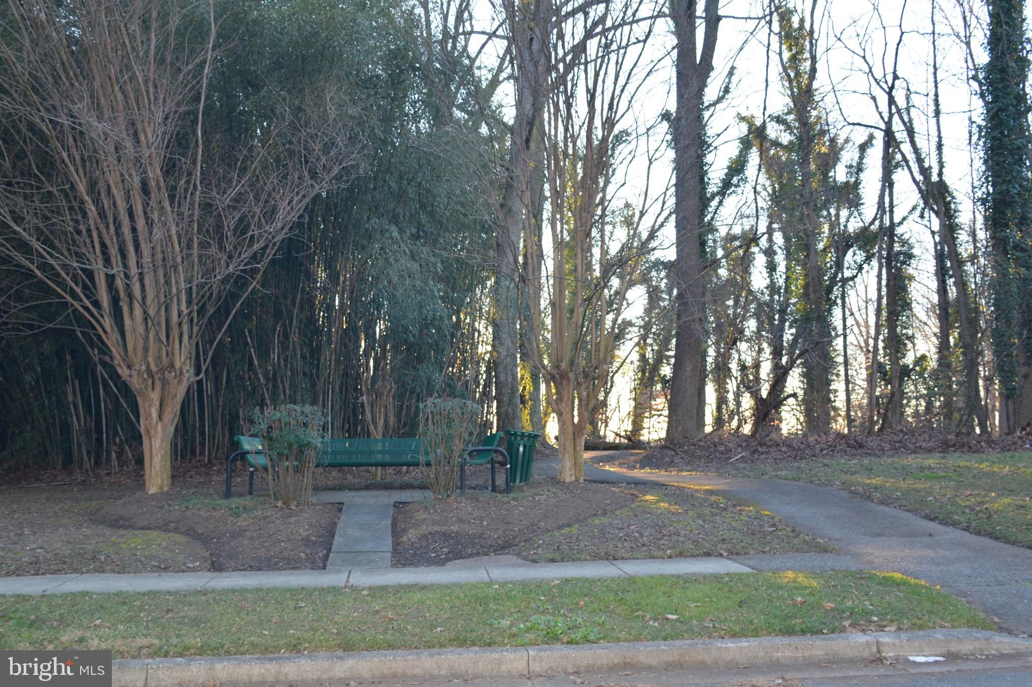 BOWIE FOREST - Residential