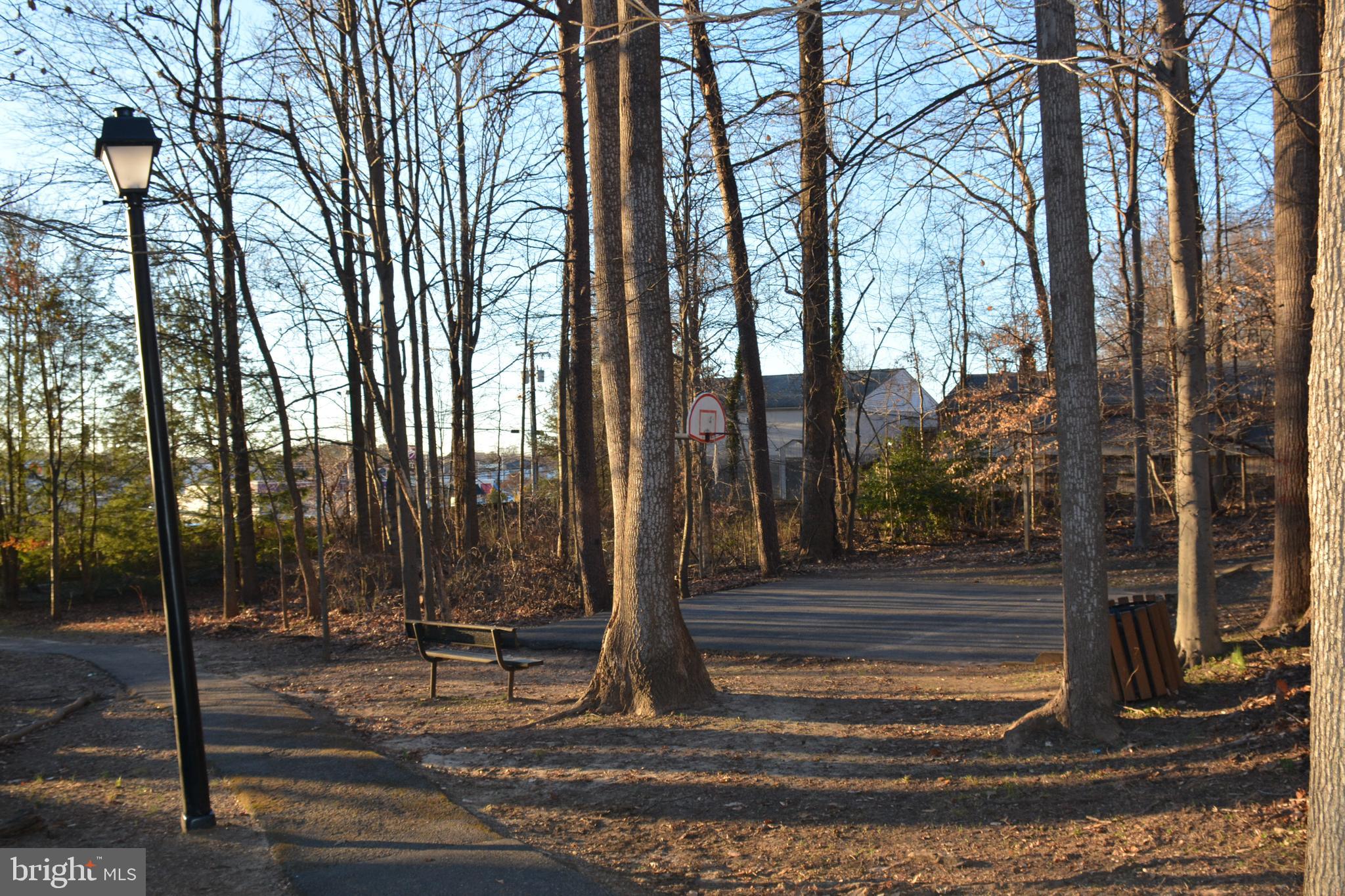 BOWIE FOREST - Residential