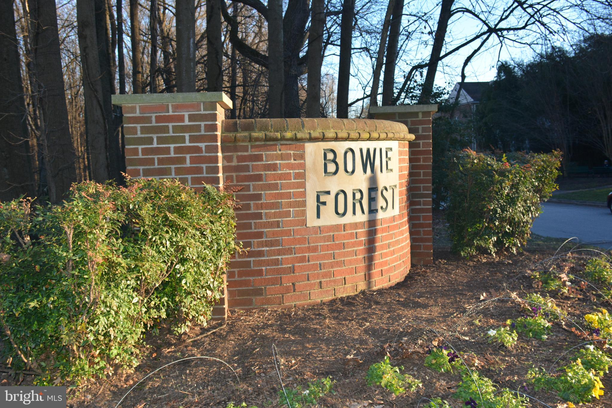 BOWIE FOREST - Residential