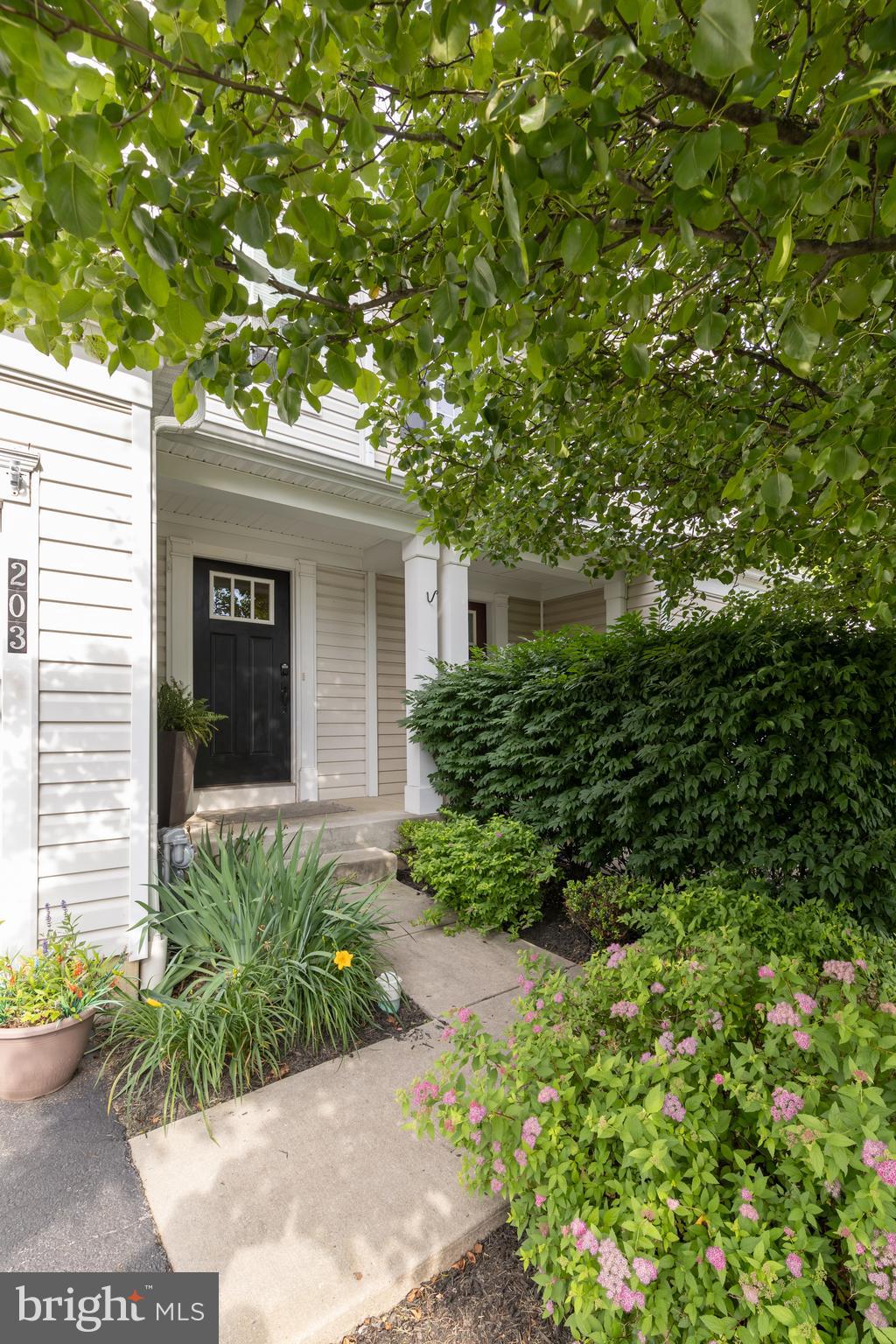 203 SILLS LANE