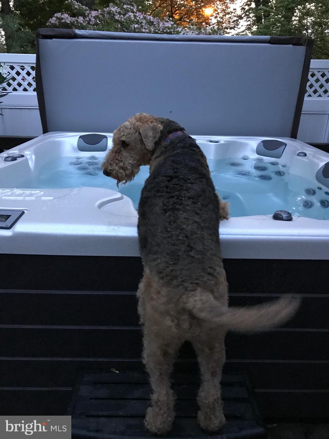 JOPPATOWNE - Residential