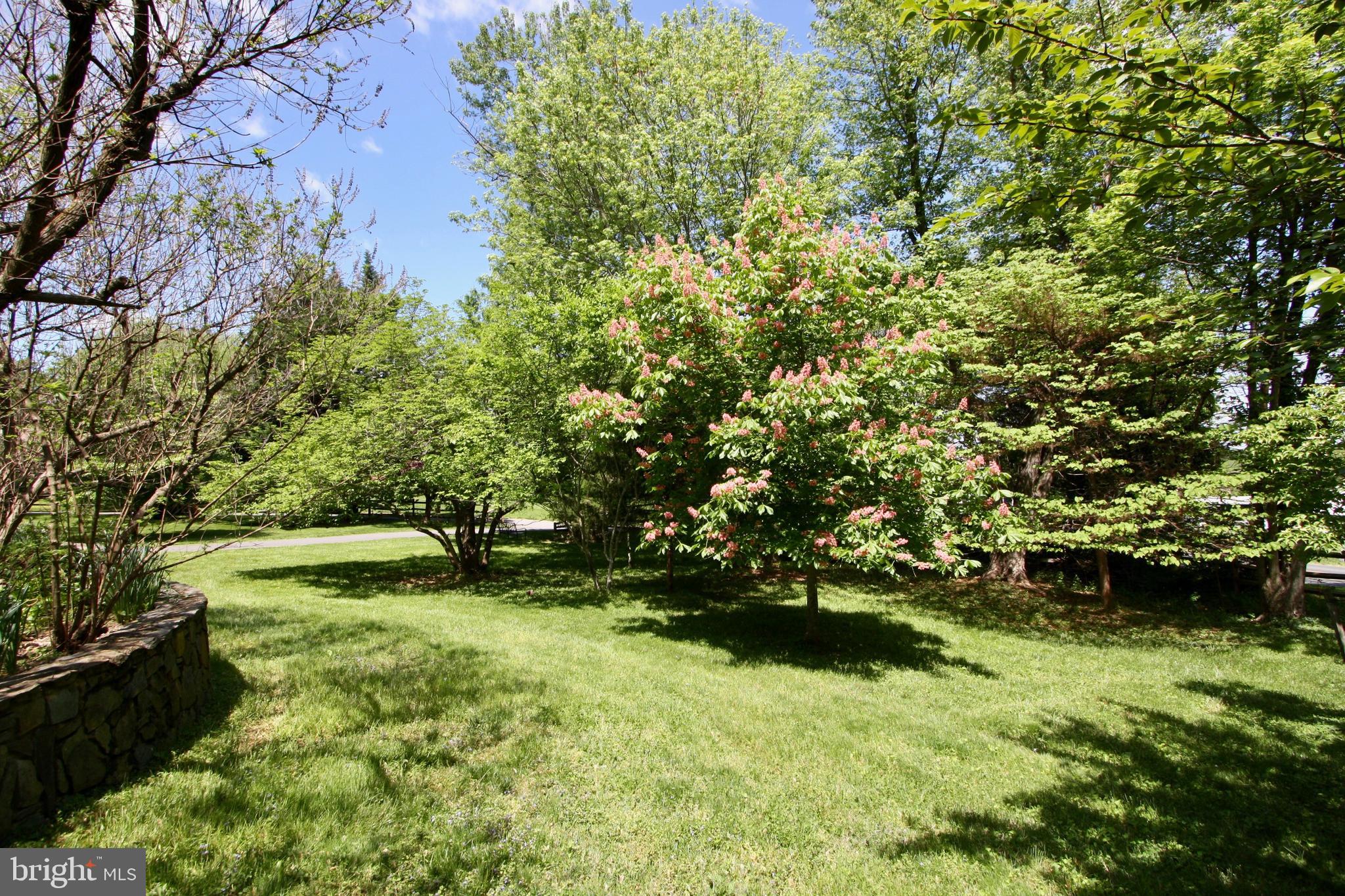 POTOMAC - Residential